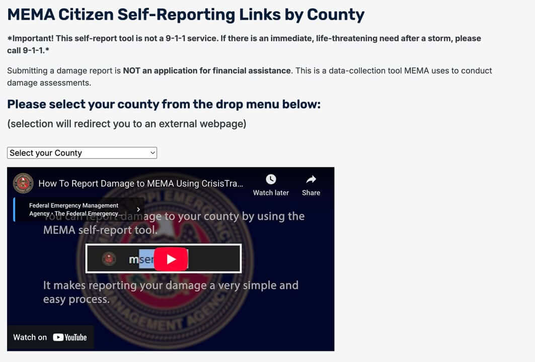 Storm Fern Damage Reports Now Open for Residents - Oxford, MS News